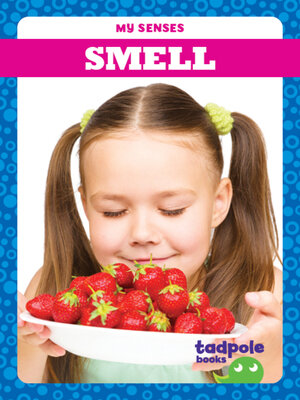 cover image of Smell